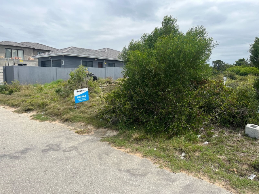 0 Bedroom Property for Sale in Bluewater Bay Eastern Cape